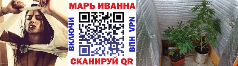 Бошки Шишки планчик Сасово