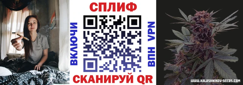 как найти наркотики  Сасово  Бошки марихуана Amnesia 